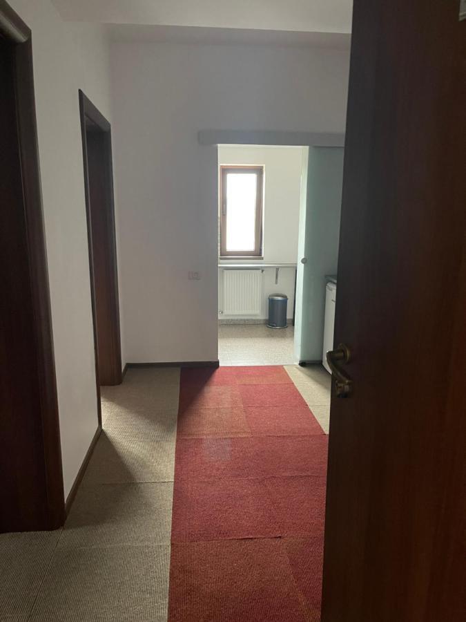 Vila Cu Trandafiri Cozy Apartments 2 Camere Bragadiru Exteriör bild